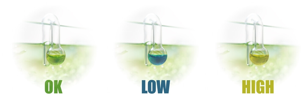 Co2 Drop Checker Setup and Results Comparison For Optimum Co2 in Aquarium 