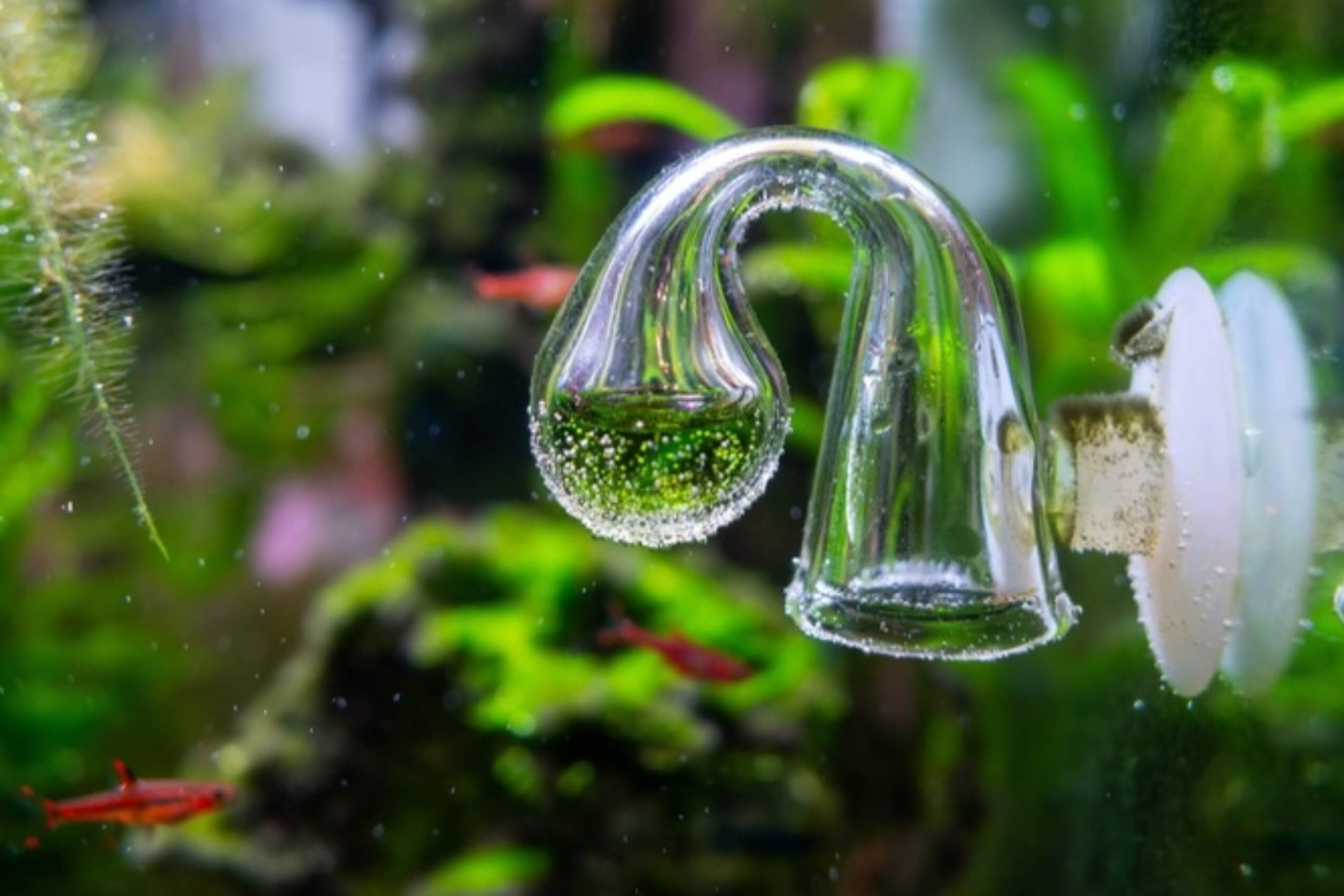 Measure CO2 in the aquarium with a drop checker