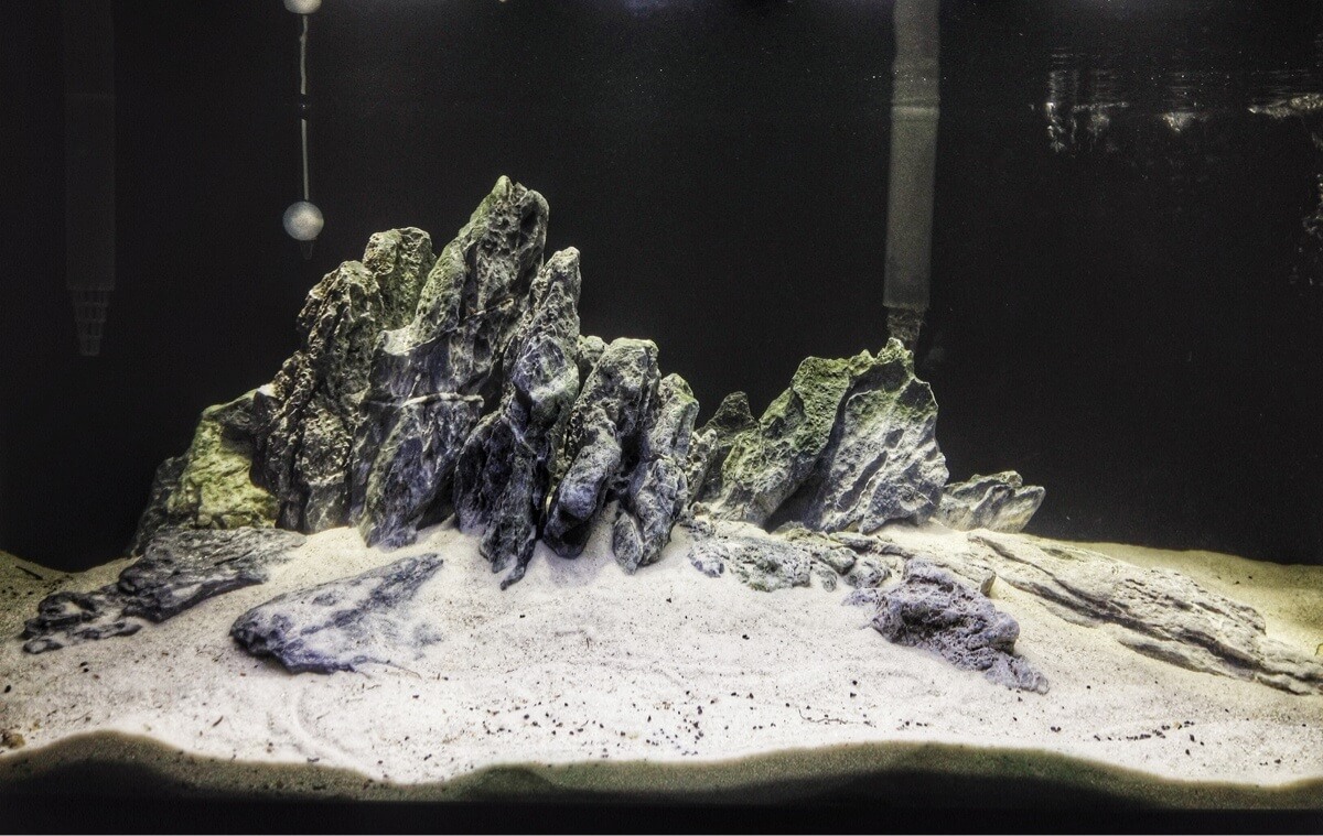 Image of an aquarium with sand substrate