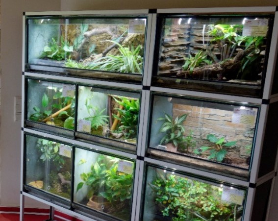 Aquarium shelving sale