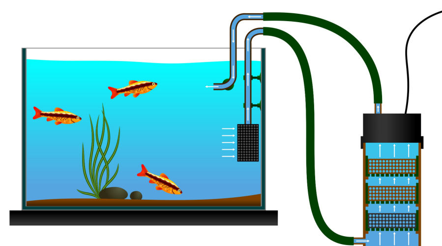Image of Canister Filter Aquarium Diagram