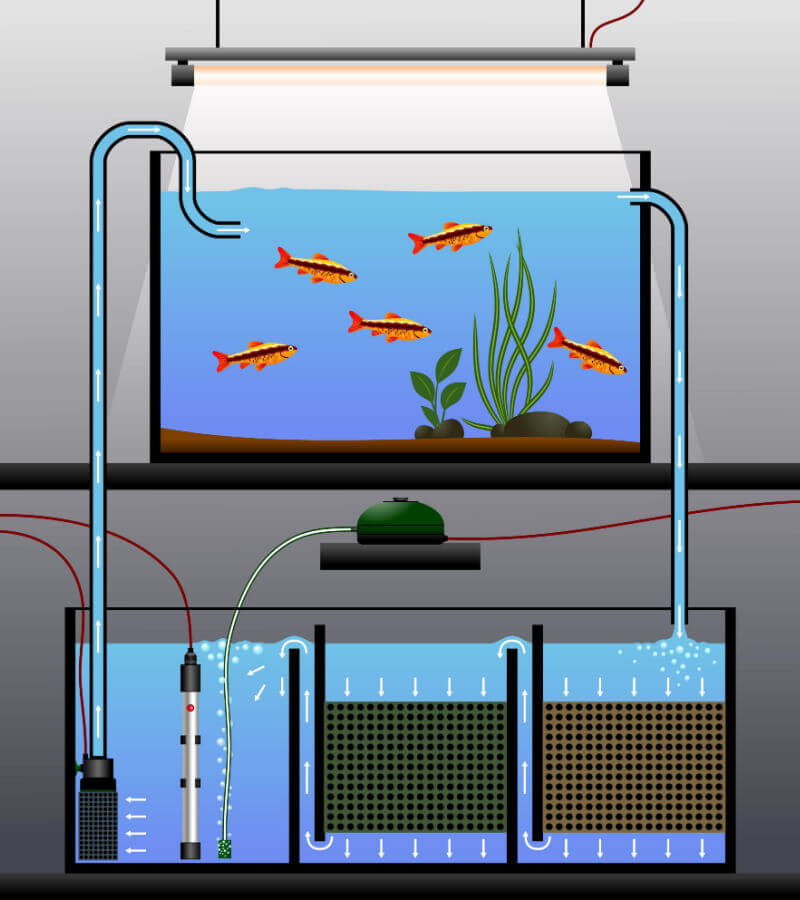 Diagram of a Sump