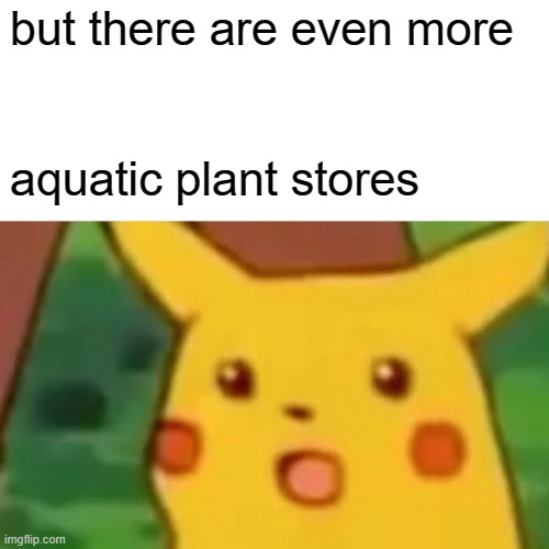 Aquatic Plant Store Meme