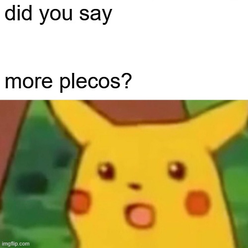 Moral Plecos Meme