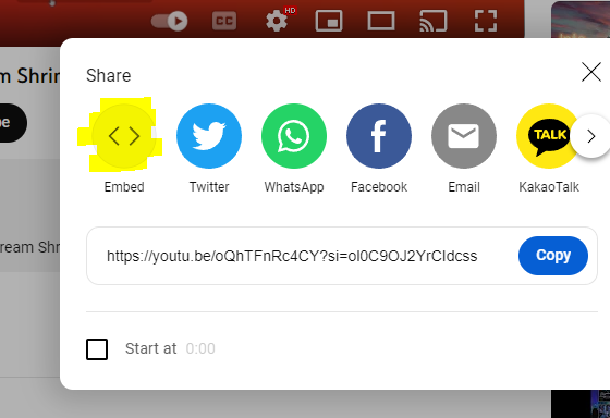 YouTUbe share button