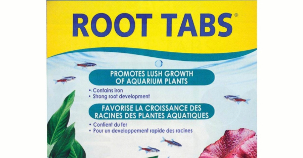 Root Tabs
